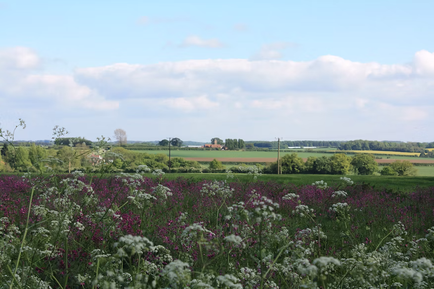 Harpley view